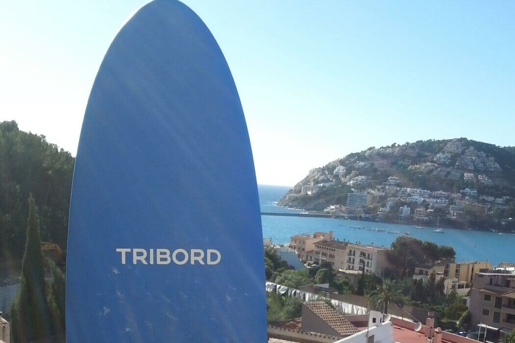 Decathlon Surfboard für 79,99 im Test Was kann es?